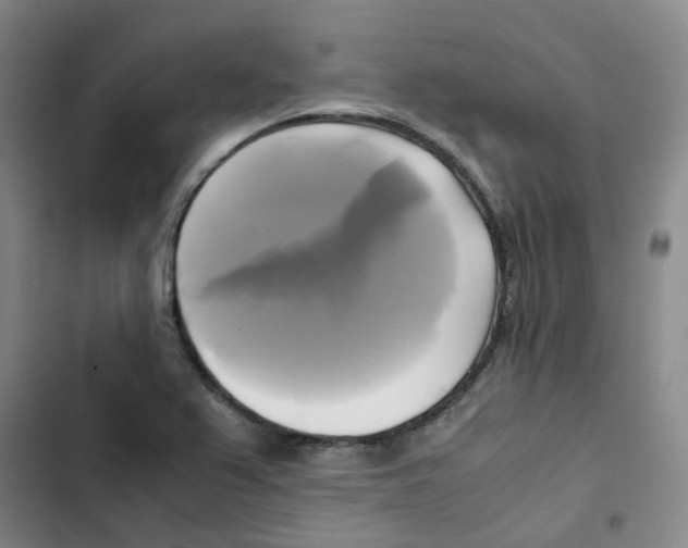 X0000102841367200809151053