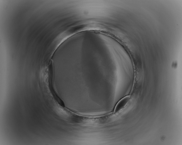 X0000102841369200809151053