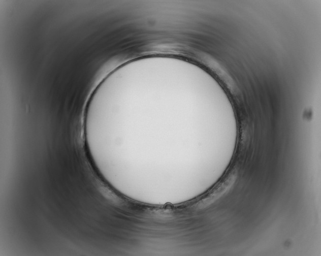 X0000102841370200809151053