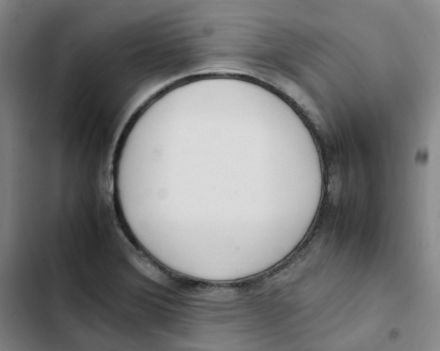 X0000102841372200809151053