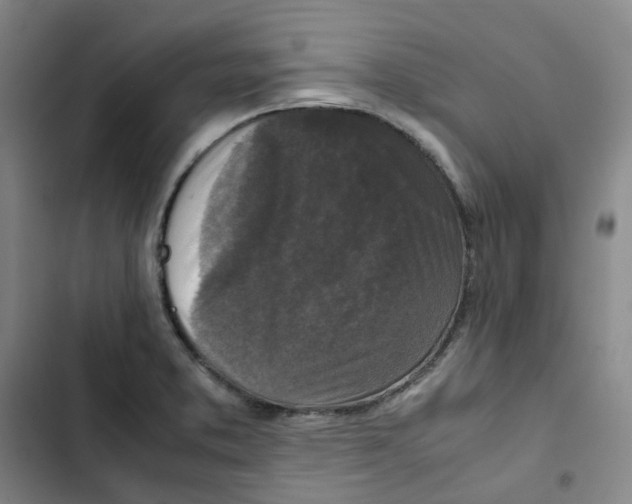 X0000102841373200809151053