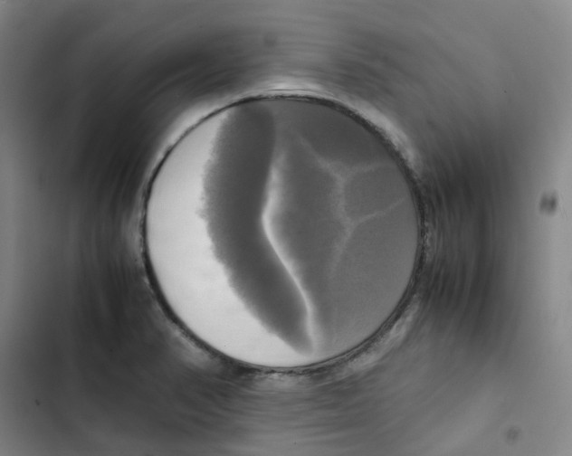 X0000102841374200809151053