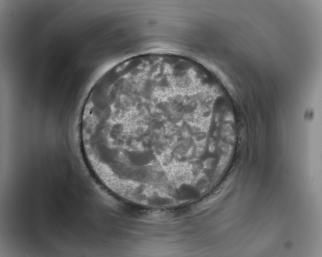 X0000102841375200809151053