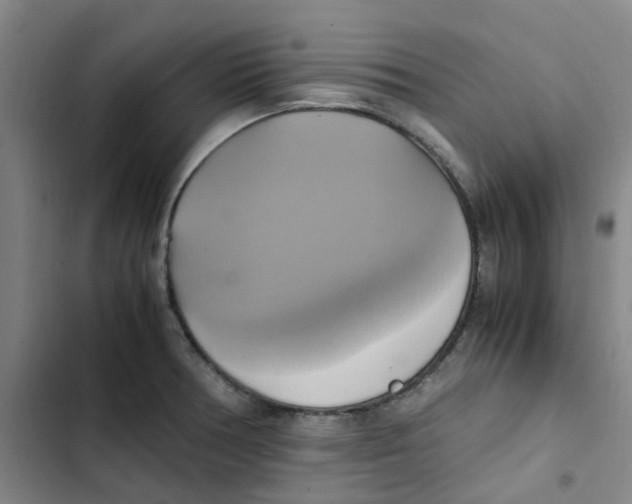 X0000102841378200809151053