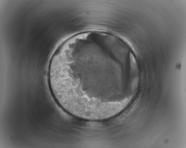 X0000102841379200809151053