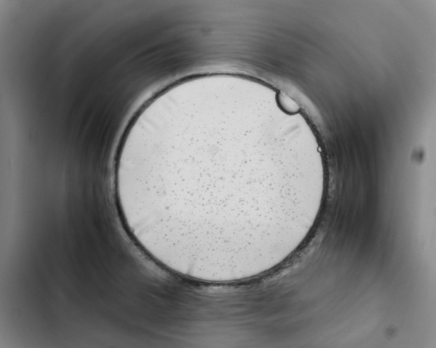 X0000102841380200809151053