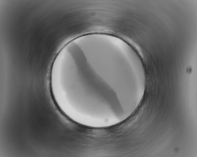 X0000102841383200809151053