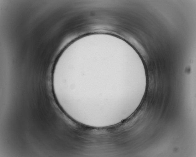 X0000102841384200809151053