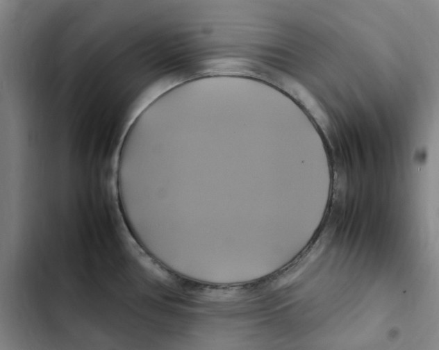 X0000102841386200809151053