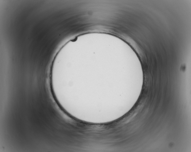 X0000102841387200809151053