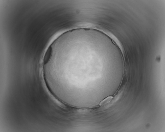 X0000102841389200809151053