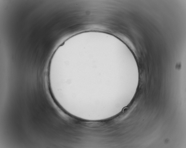 X0000102841391200809151053