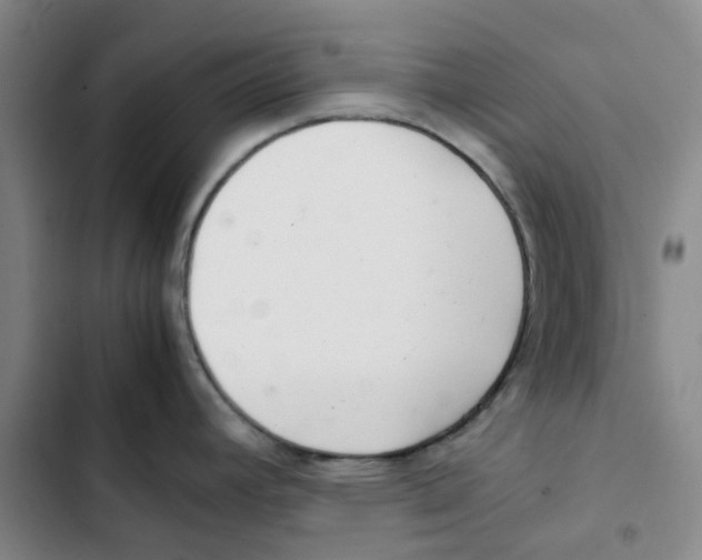 X0000102841392200809151053