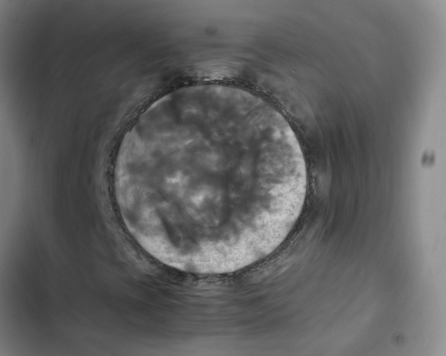 X0000102841393200809151052