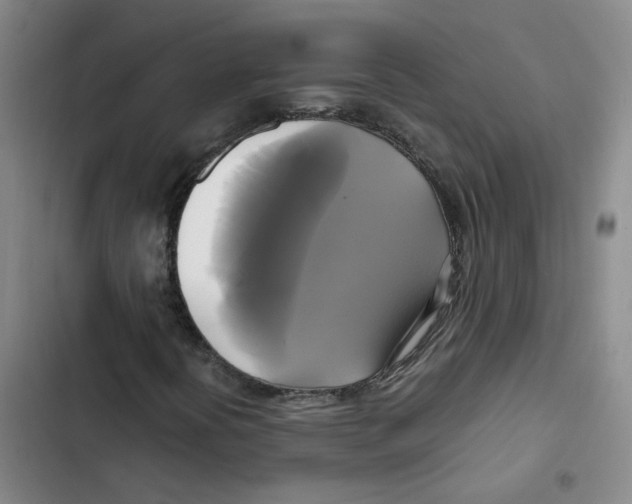 X0000102841394200809151052