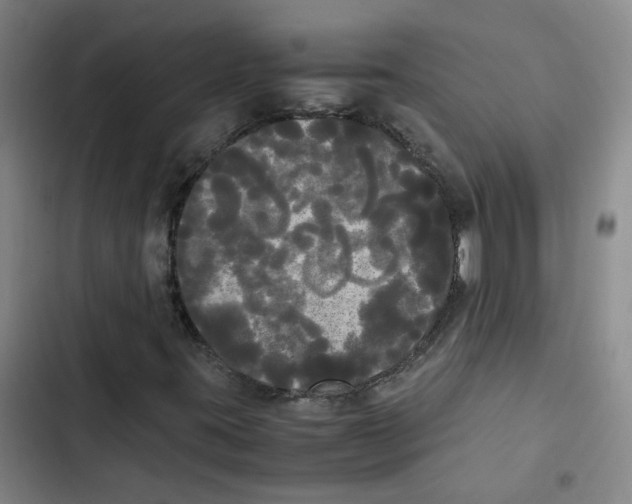 X0000102841395200809151052