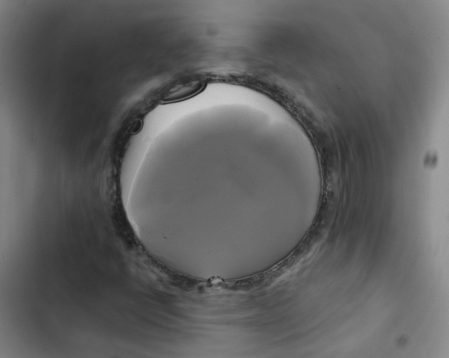 X0000102841398200809151052