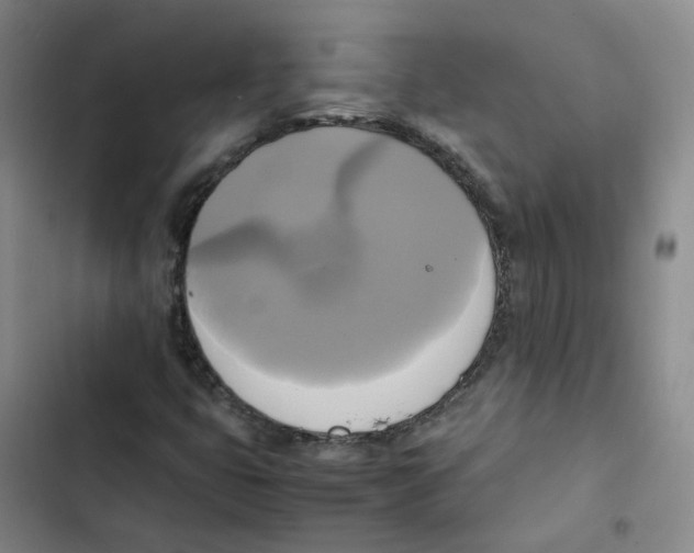 X0000102841399200809151052