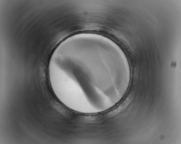 X0000102841401200809151052