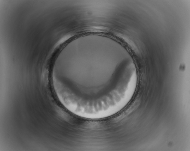 X0000102841402200809151052