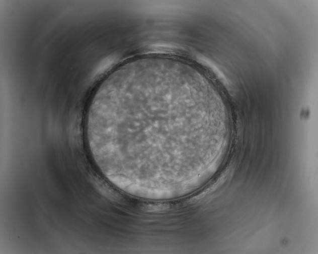 X0000102841403200809151052