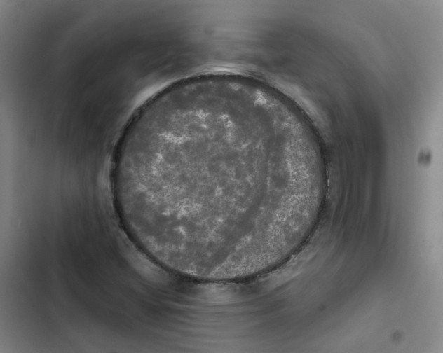 X0000102841404200809151052