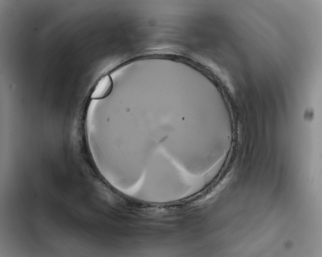 X0000102841405200809151052