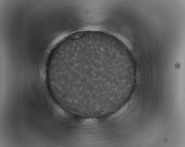 X0000102841406200809151052