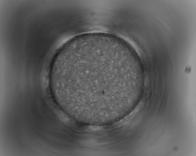 X0000102841407200809151052