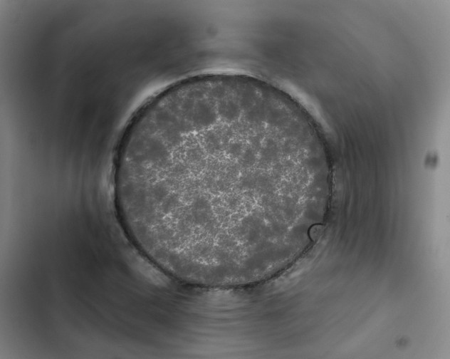 X0000102841408200809151052