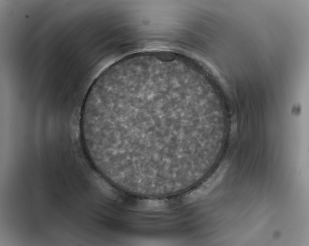 X0000102841409200809151053