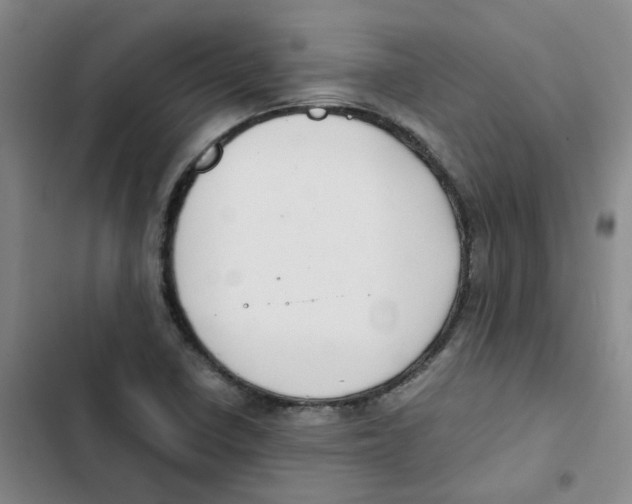 X0000102841410200809151053