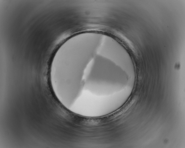 X0000102841411200809151053