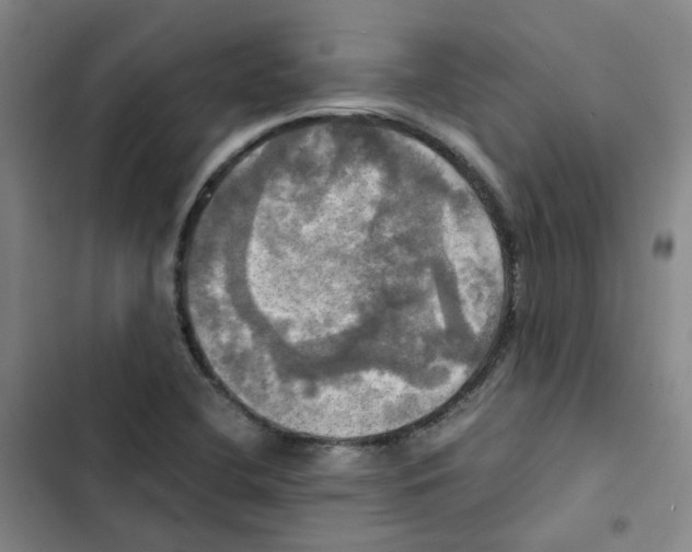 X0000102841412200809151053