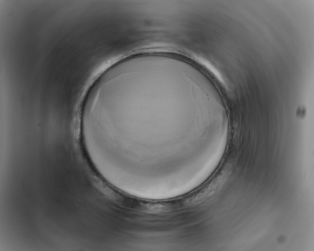 X0000102841413200809151053