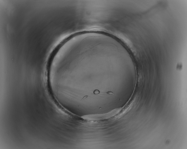 X0000102841414200809151053