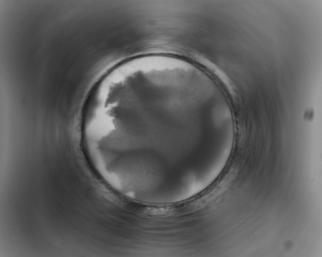 X0000102841415200809151053