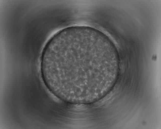 X0000102841416200809151053