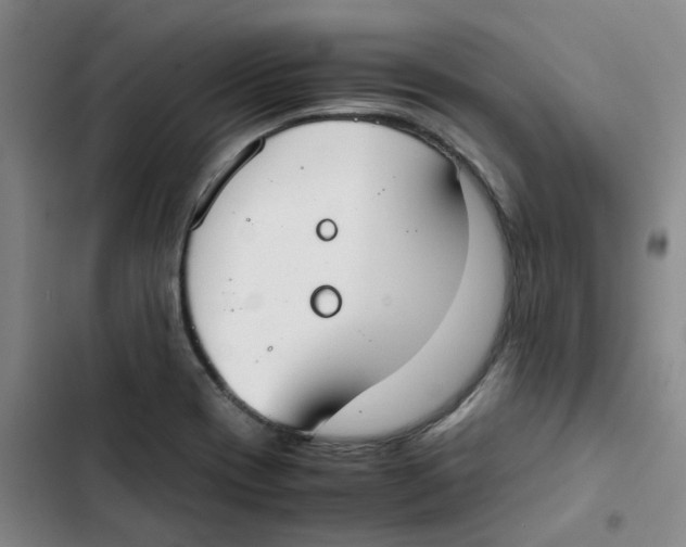 X0000102841417200809151053