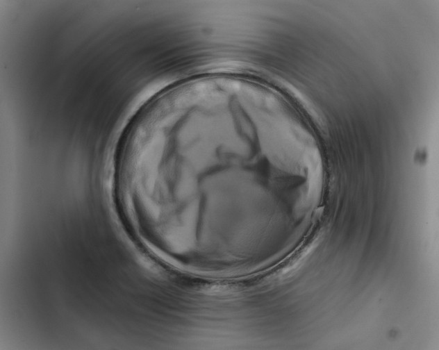 X0000102841418200809151053