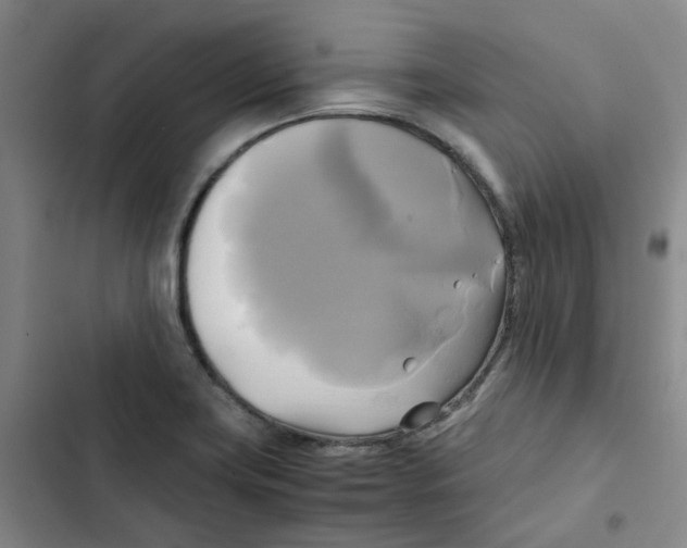 X0000102841419200809151053