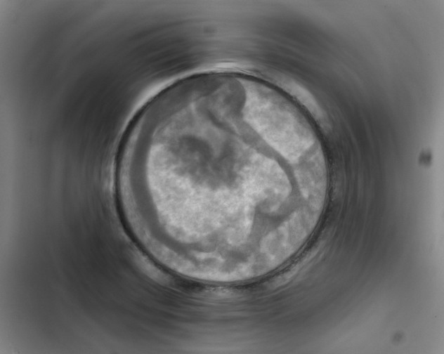 X0000102841420200809151053