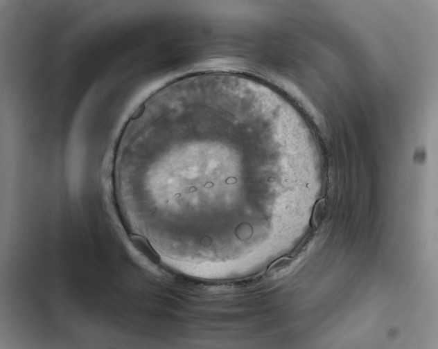 X0000102841421200809151053