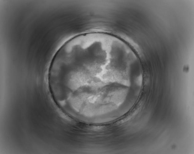 X0000102841423200809151053