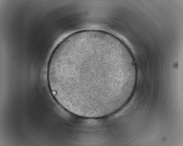 X0000102841424200809151053