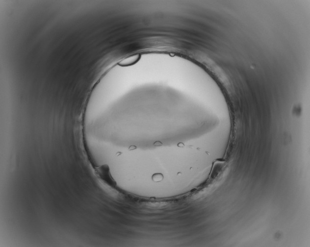 X0000102841425200809151053