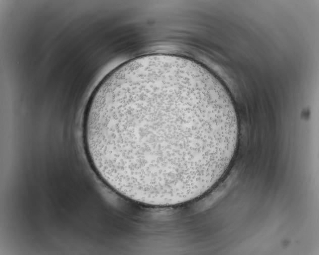 X0000102841426200809151053