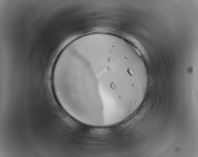 X0000102841427200809151053