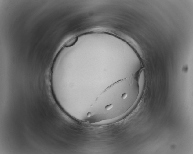 X0000102841428200809151053