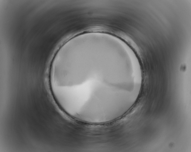 X0000102841429200809151053